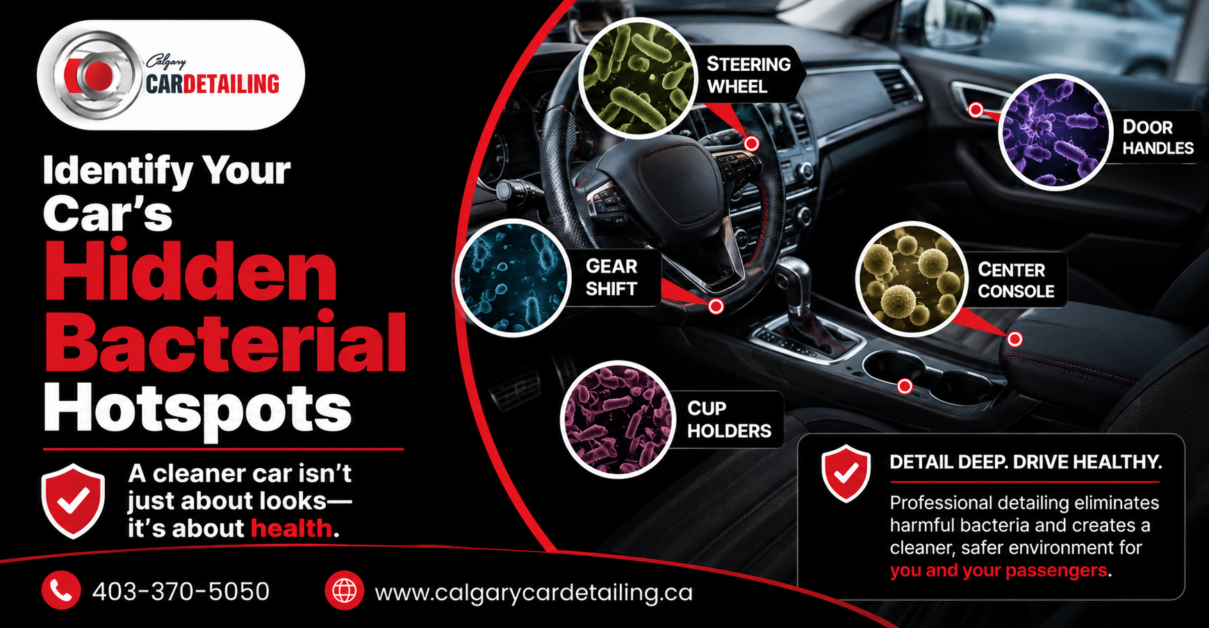 Why Your ‘Clean’ Car Is Still Full of Bacteria-The Science of Interior Contamination
